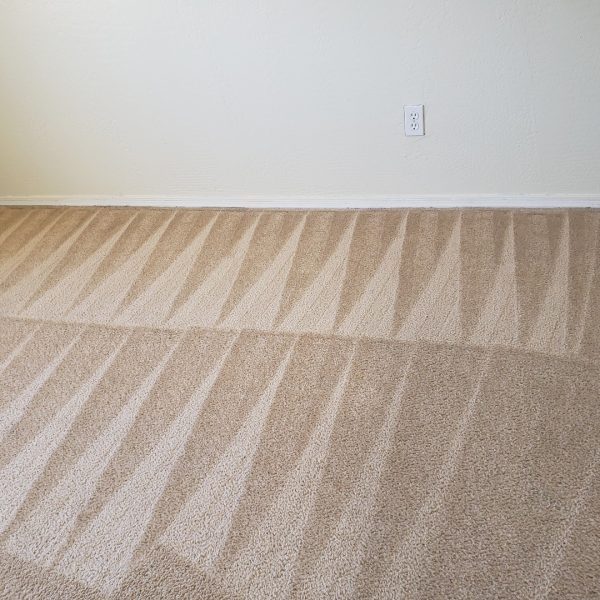 Two Story House Carpet Cleaning Service - Image 4