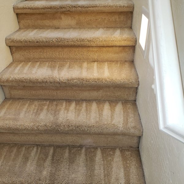 Two Story House Carpet Cleaning Service